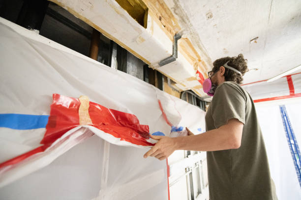 Biohazard Mold Removal in Roslyn, PA
