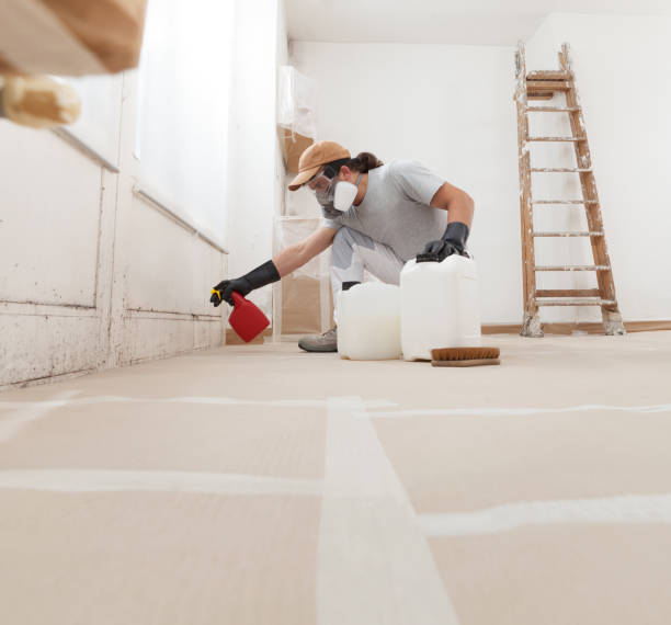 Best Attic Mold Removal  in Roslyn, PA