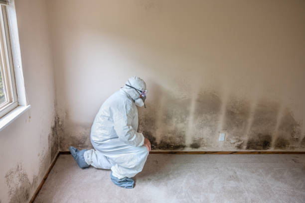 Best Commercial Mold Inspection  in Roslyn, PA