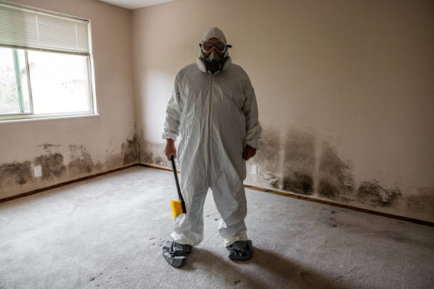 Mold Remediation for Vacation Homes in Roslyn, PA